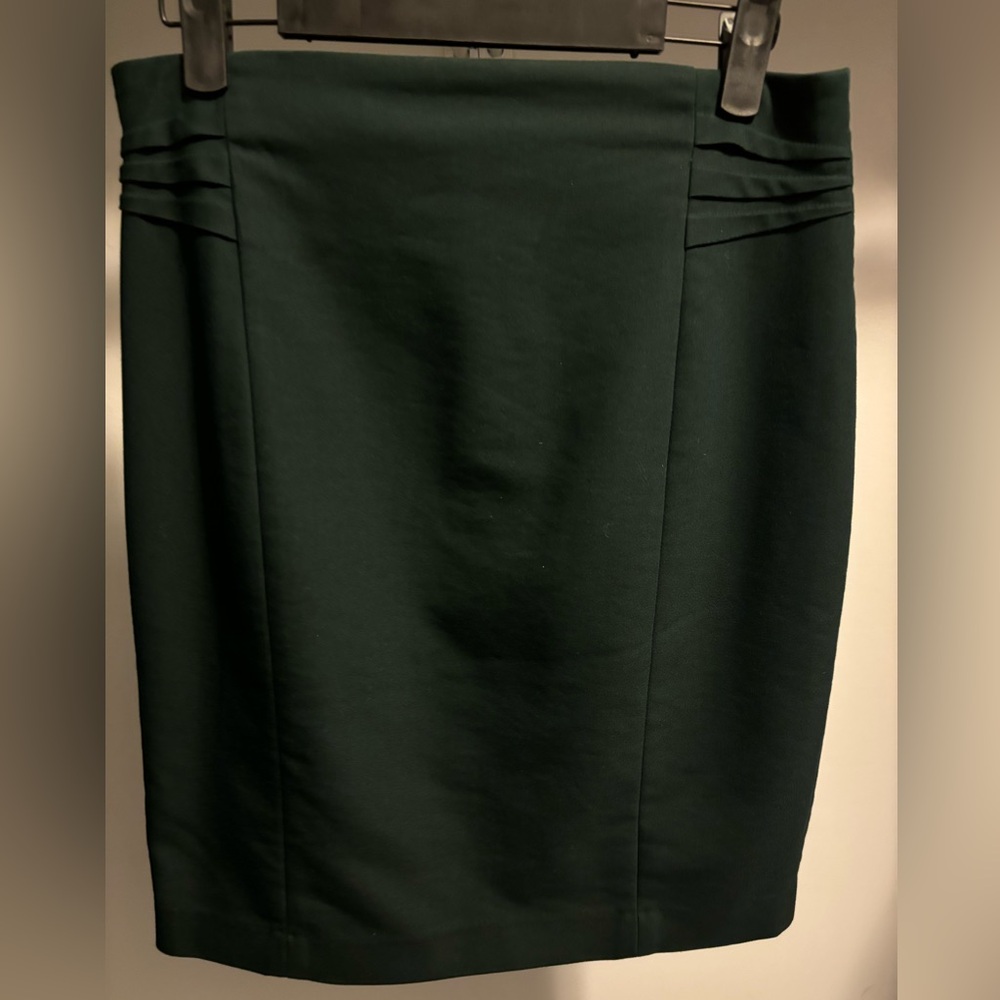 Express Pencil Skirt